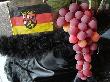 Rheinland-Pfalz mit Weintrauben für`s Weinbaugebiet